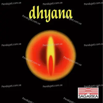 Dhyana - Shahid Parvez Khan cover album