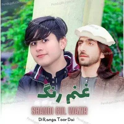 Di Ranga Toor Dai - Shandi Gul Wazir album cover 