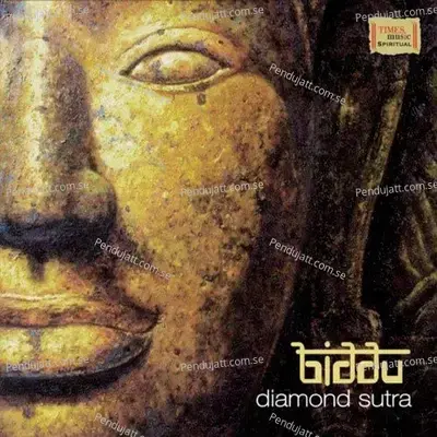 Raag Trance - Bina Mistry album cover 