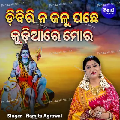 Dibiri Na Jalu Pachhe Kudiare Mora - Namita Agrawal album cover 