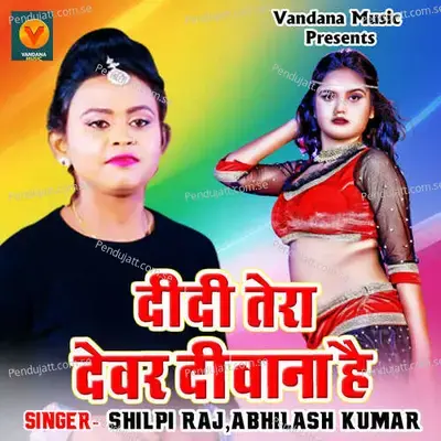 Didi Tera Devar Deewana Hai - Shilpi Raj album cover 