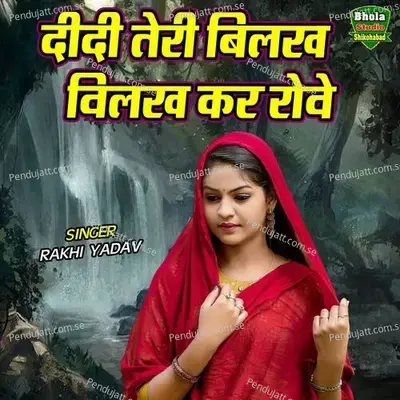 Didi Teri Bilakh Bilakh Kar Rowe - Rakhi Yadav album cover 