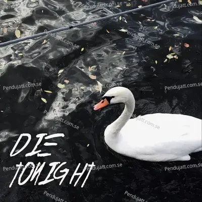 Die Tonight - Dies Nox album cover 