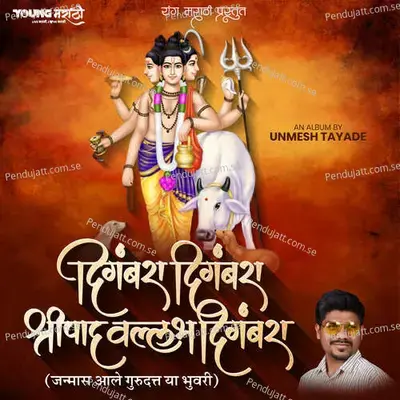 Digambara Digambara Shripad Wallabh Digambara - Unmesh Tayade album cover 