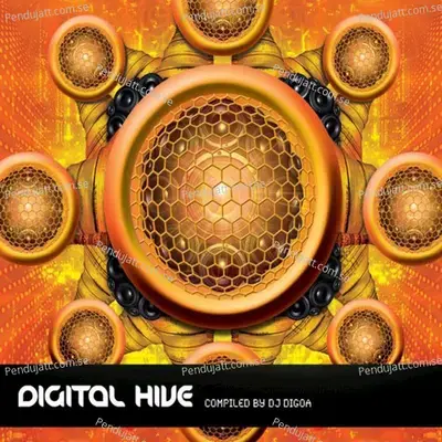 Digital Hive  Compiled By Dj Digoa  - Various Artists cover album