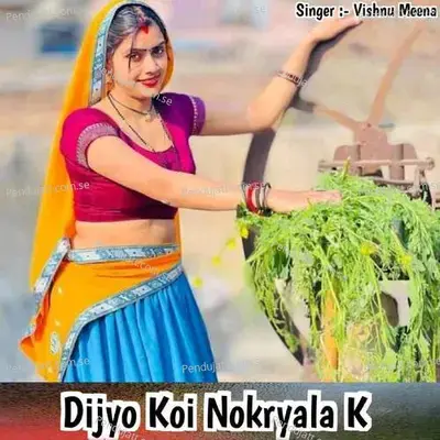 Dijyo Koi Nokryala K - Vishnu Meena album cover 