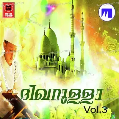 Aalam Udayavan - Riyas Veliyath album cover 