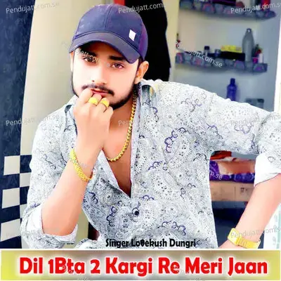 Dil 1Bta 2 Kargi Re Meri Jaan - Lovekush Dungri album cover 