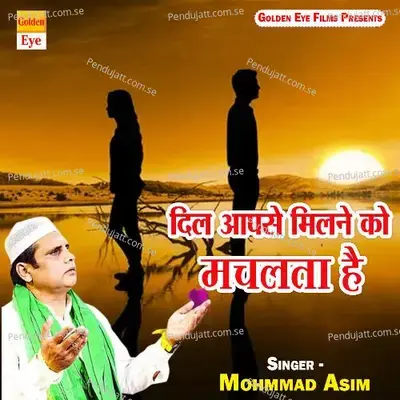 Dil Aapse Milne Ko Machalta Hai - Mohmmad Asim album cover 