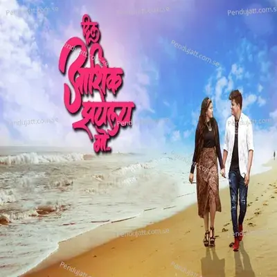 Dil Aashiq Zailai Go - Sonali Sonawane album cover 