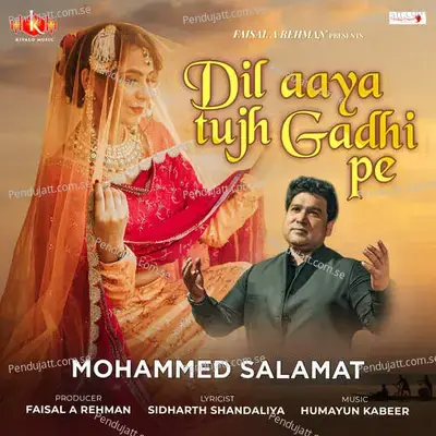 Dil Aaya Tujh Gadhi Pe - Mohammed Salamat album cover 