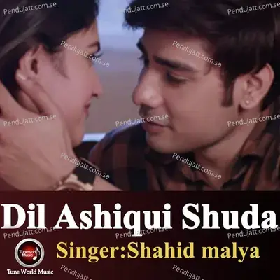Dil Ashiqui Shuda - Shahid Mallya album cover 