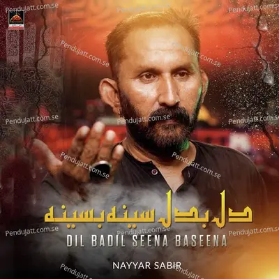 Dil Badil Seena Baseena - Nayyar Sabir album cover 