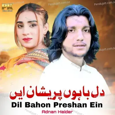 Dil Bahon Preshan Ein - Adnan Haider album cover 