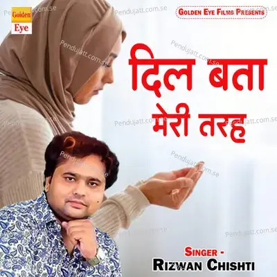 Dil Bata Meri Tarah - Rizwan Chishti album cover 