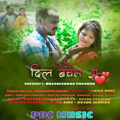 Dil Bechen S - Bhaiya More album cover 