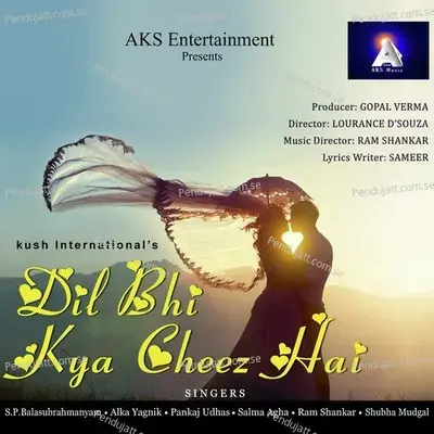 Dil Bhi Kya Cheez Hai - Ram Shankar cover album