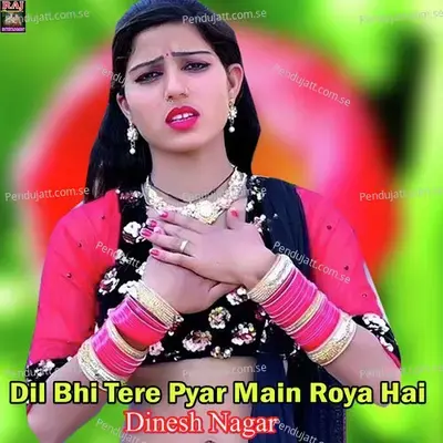 Dil Bhi Tere Pyar Main Roya Hai - Dinesh Nagar album cover 