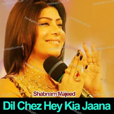 Tu Hai Chand Aur Mein Hon Chand Rat - Shabnam Majeed album cover 