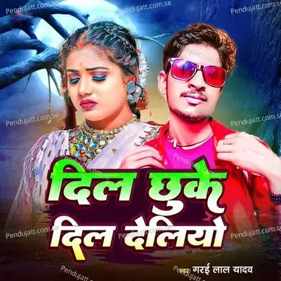 Dil Chhuke Dil Deliyo - Garai Lal Yadav album cover 