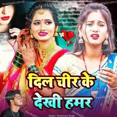 Dil Chir Ke Dekhi Hamar - Ashish Yadav album cover 
