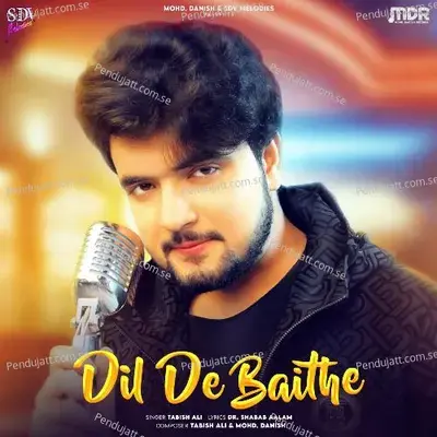 Dil De Baithe - Tabish Ali album cover 