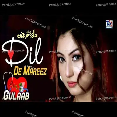 Dil De Mareez - Gulaab album cover 