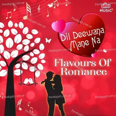 Pyar Ne Tere - Udit Narayan album cover 