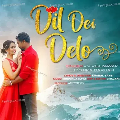 Dil Dei Delo - Vivek Nayak album cover 