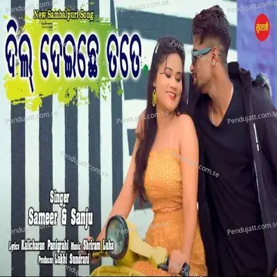 Dil Deichhe Tate - Sameer album cover 