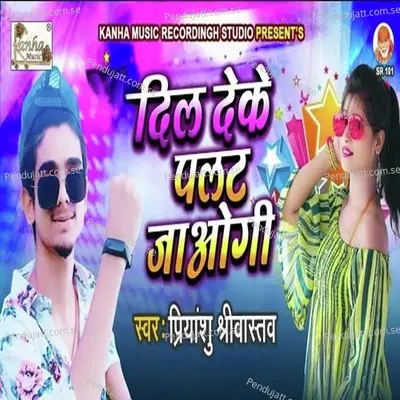 Dil Deke Palat Jaogyi - Priyanshu Srivastav album cover 