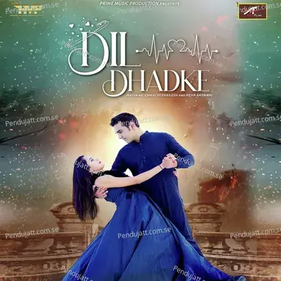 Dil Dhadke - Sunil Borana album cover 