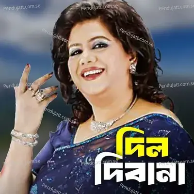 Dil Dibana - Runa Laila album cover 