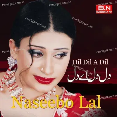 Na Hova Juda - Naseebo Lal album cover 