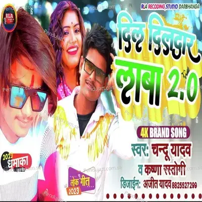 Dil Dildar La Ba 2 0 - Krishna Rastogi album cover 