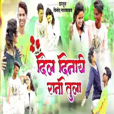 Dil Dinayi Rani Tula - Pankaj Koli album cover 