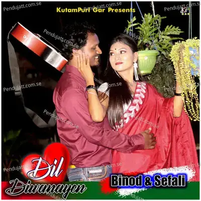 Dil Diwanayen - Seth Hembrom