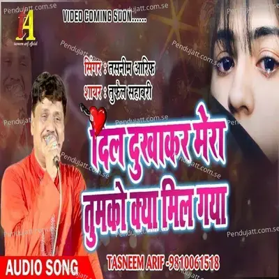 Dil Dukhakar Mera Tumko Kya Mil Gaya - Tasneem Arif album cover 