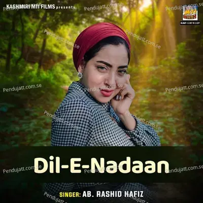 Tere Surat Nigaho Mai Phrti Rahi - Ab. Rashid Hafiz album cover 