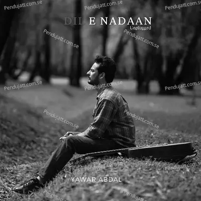 Dil E Nadan - Yawar Abdal album cover 