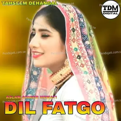 Dil Fatgo - Tahseem Dehangal album cover 