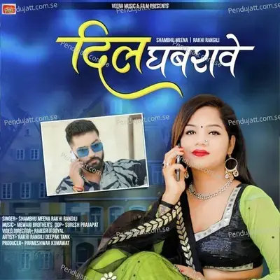 Dil Gabarave - Shambhu Meena album cover 