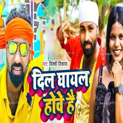 Dil Ghayal Howe Hai - Vicky Vikas album cover 