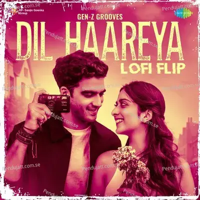 Dil Haareya - Lofi Flip - Gen-Z Grooves album cover 