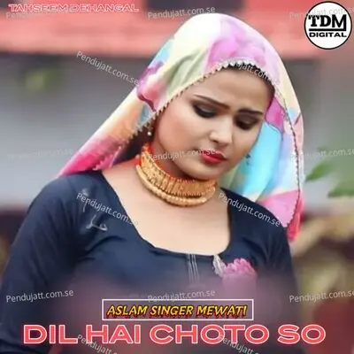 Dil Hai Choto So - Tahseem Dehangal album cover 