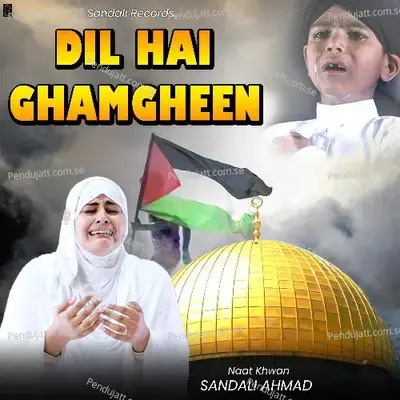 Dil Hai Ghamgeen - Sandali Ahmad album cover 