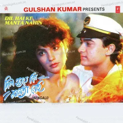 Dil Hai Ke Manta Nahin - Unplugged - Soumitra Dev Burman album cover 