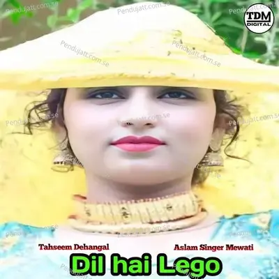 Dil Hai Lego - Tahseem Dehangal album cover 
