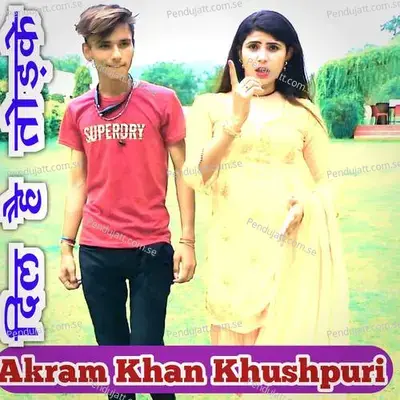 Dil Hai Todke - Akram Khan Khushpuri album cover 