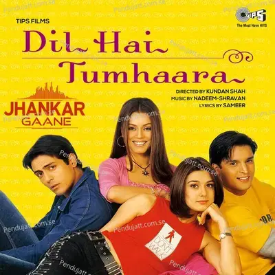 Dil Hai Tumhaara - Alka Yagnik album cover 